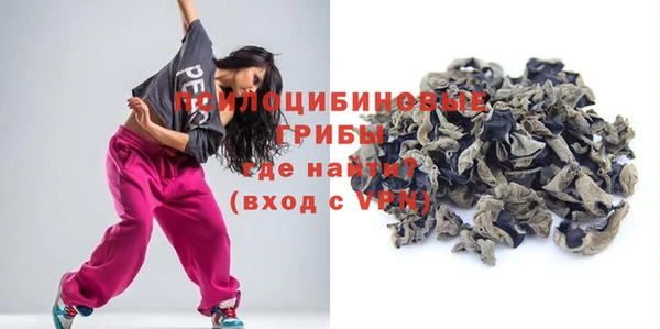 дживик Абаза