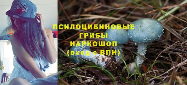 гидра Абдулино