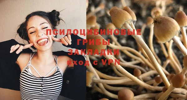 дживик Абаза