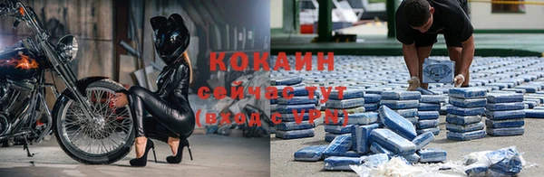 дживик Абаза
