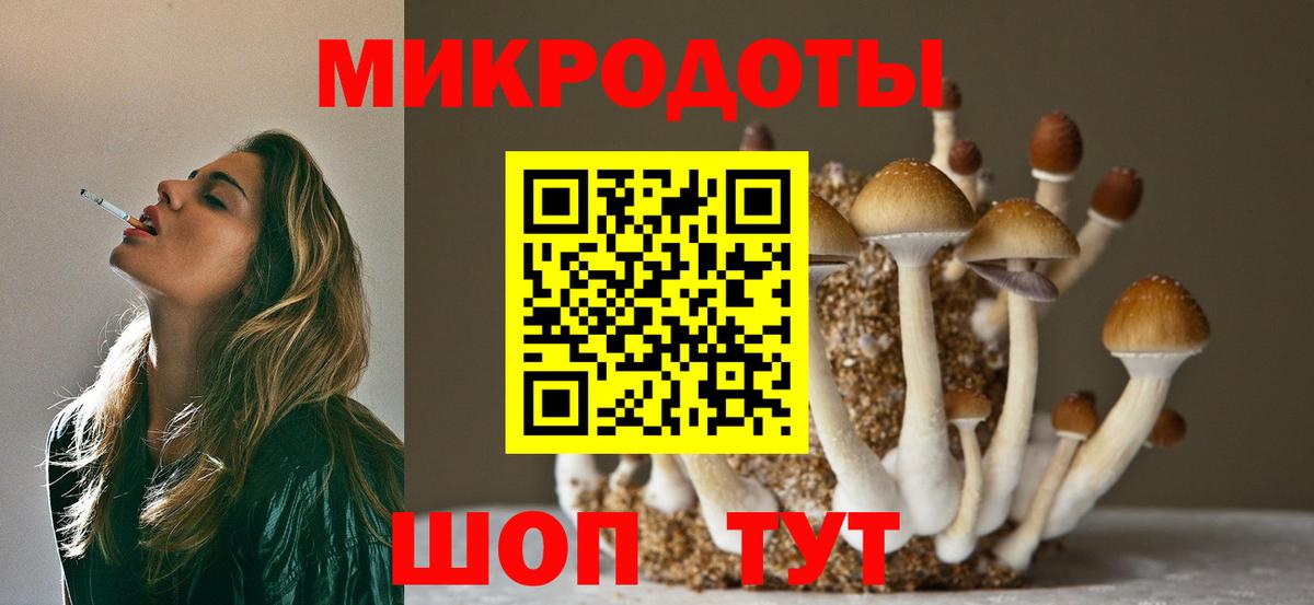 Балаково  как найти   Вход с VPN  Псилоцибиновые грибы прущие грибы 