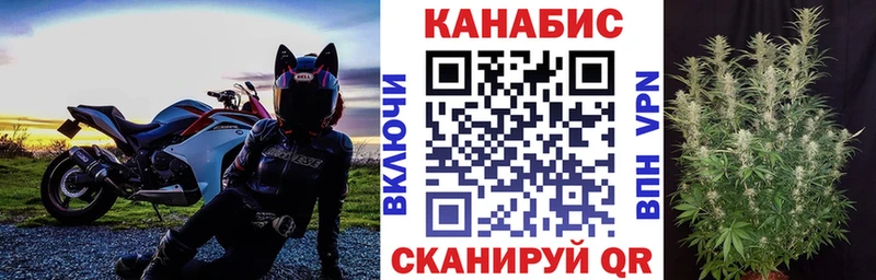 Конопля Bruce Banner Балаково